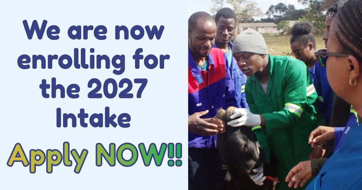 Enrolment for the 2027 Intake